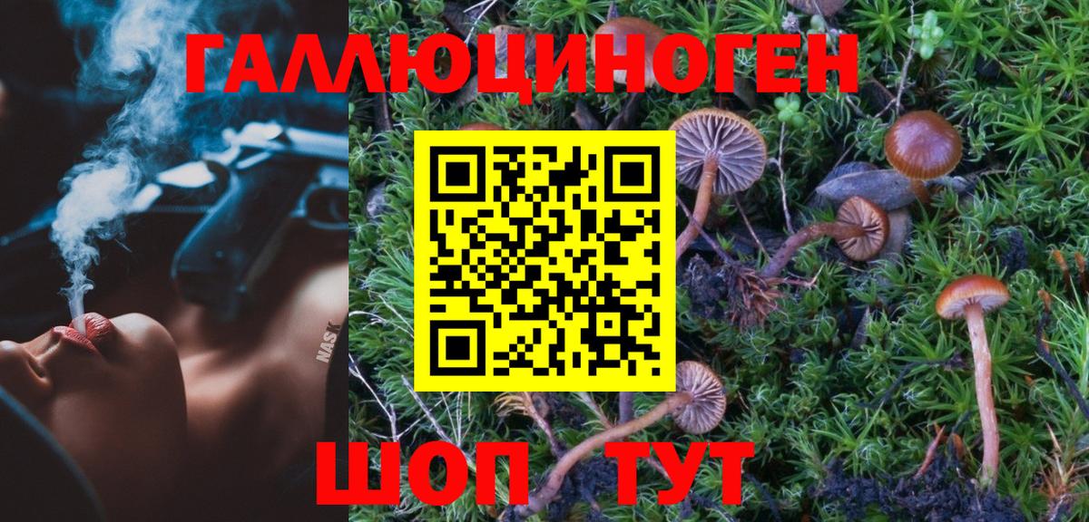 Галлюциногенные грибы GOLDEN TEACHER  Галлюциногенные грибы GOLDEN TEACHER  Вход с VPN  Корсаков 