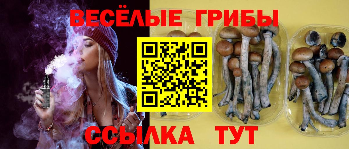Псилоцибиновые грибы GOLDEN TEACHER Корсаков